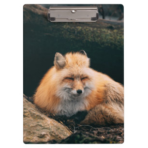 Porte-bloc Red Fox dormant