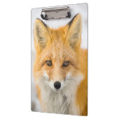 Porte-bloc Red Fox Portrait (Gauche)
