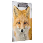 Porte-bloc Red Fox Portrait (Swatch)