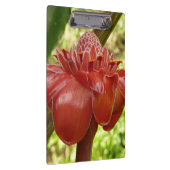 Porte-bloc Red Torch Ginger Tropical Flower Photographie (Swatch)