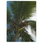 Porte-bloc Regard sur le palmier à coco Nature tropicale (Dos)