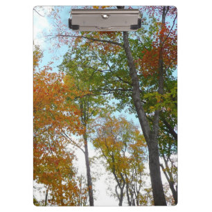 Porte-bloc Regard sur les feuilles d'automne I Colorful Fall 