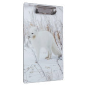 Porte-bloc Renard arctique (Swatch)