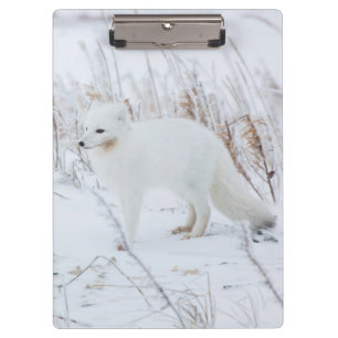 Porte-bloc Renard arctique