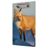 Porte-bloc Renard Brown (Gauche)