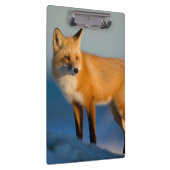Porte-bloc Renard Brown (Swatch)