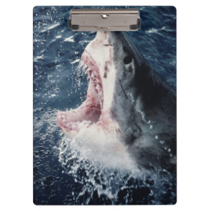 Porte-bloc Requin élevé bouche ouverte