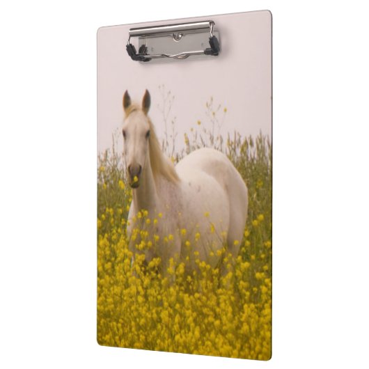 Porte-bloc Ressort (Gauche)