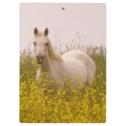 Porte-bloc Ressort (Dos)