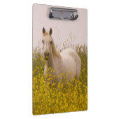 Porte-bloc Ressort (Swatch)