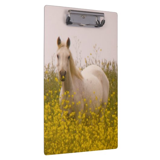 Porte-bloc Ressort (Swatch)