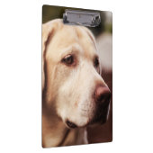 Porte-bloc Retriever du Labrador (Swatch)