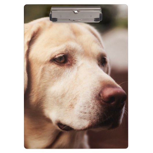Porte-bloc Retriever du Labrador (Devant)