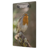 Porte-bloc Robin (Gauche)