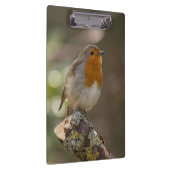 Porte-bloc Robin (Swatch)