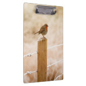 Porte-bloc Robin d'hiver Redsein (Swatch)