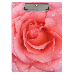 Porte-bloc Romantique Rose rose rouge gouttes d'eau