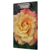Porte-bloc Rose Beautiful Pink and Yellow Floral (Gauche)
