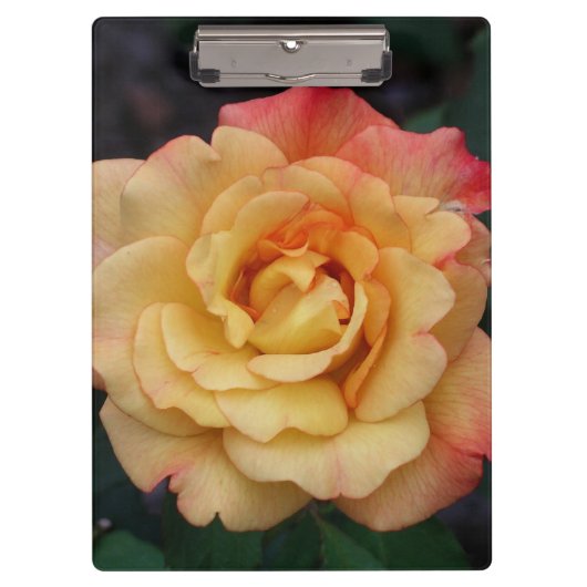Porte-bloc Rose Beautiful Pink and Yellow Floral (Devant)