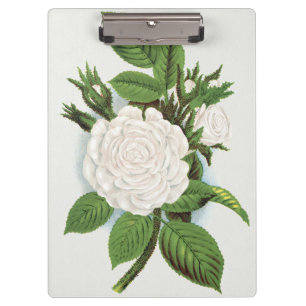 Porte-bloc Rose blanche vintage mousse Art botanique Cottagec