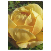 Porte-bloc Rose d'Angleterre (Dos)