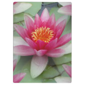 Porte-bloc Rose Lotus Water Lily (Dos)