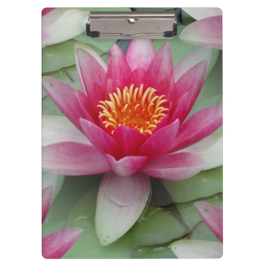 Porte-bloc Rose Lotus Water Lily (Devant)