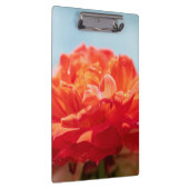 Porte-bloc Rose orange (Swatch)