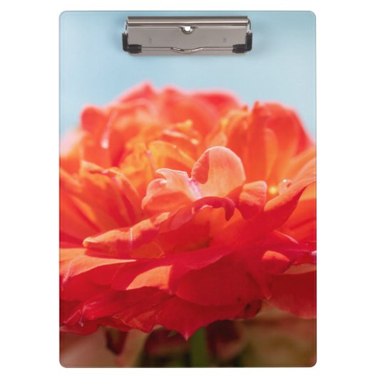 Porte-bloc Rose orange (Devant)
