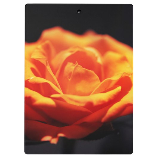 Porte-bloc Rose orange sur noir (Dos)