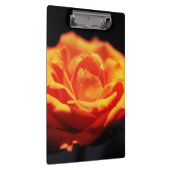 Porte-bloc Rose orange sur noir (Swatch)
