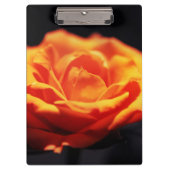 Porte-bloc Rose orange sur noir (Devant)