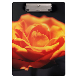 Porte-bloc Rose orange sur noir