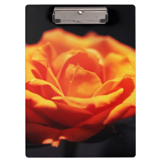 Porte-bloc Rose orange sur noir (Devant)