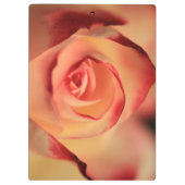 Porte-bloc Rose romantique orange (Dos)