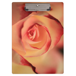 Porte-bloc Rose romantique orange