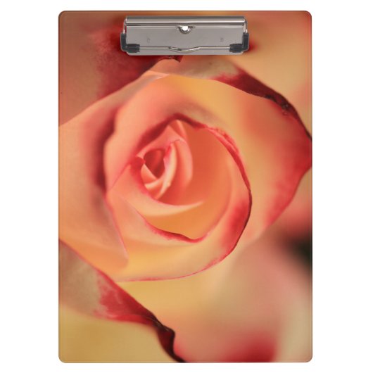 Porte-bloc Rose romantique orange (Devant)