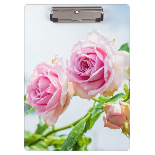 Porte-bloc Rose rose (Devant)