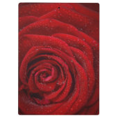 Porte-bloc Rose rouge romantique (Dos)