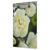 Porte-bloc Roses blanches mignonnes pour positives (Gauche)