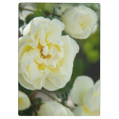 Porte-bloc Roses blanches mignonnes pour positives (Dos)