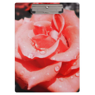 Porte-bloc Roses vintages