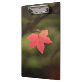Porte-bloc Rouge automne Maple Leaf Nature Photo (Gauche)