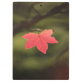 Porte-bloc Rouge automne Maple Leaf Nature Photo (Dos)