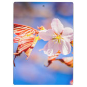 Porte-bloc Rouge Sakura bleu ciel (Dos)