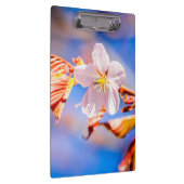 Porte-bloc Rouge Sakura bleu ciel (Swatch)