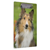 Porte-bloc Rough Collie, chien (Swatch)