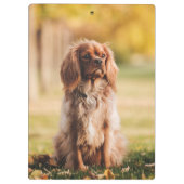 Porte-bloc Ruby Cavalier Le Roi Charles Spaniel Chien Chien (Dos)