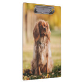 Porte-bloc Ruby Cavalier Le Roi Charles Spaniel Chien Chien (Swatch)