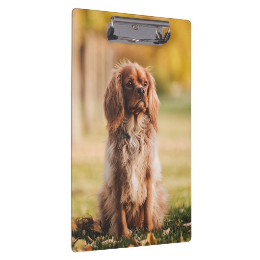 Porte-bloc Ruby Cavalier Le Roi Charles Spaniel Chien Chien (Swatch)